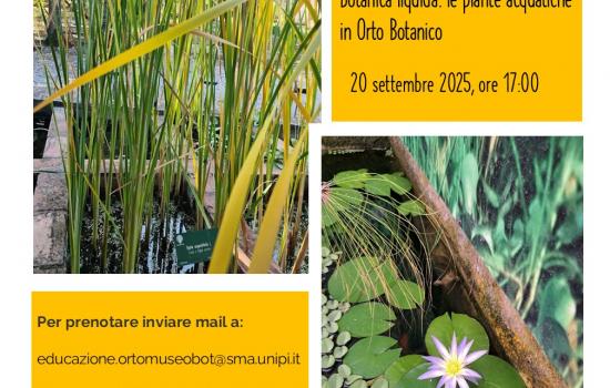 Sabato botanico settembre 2025 
