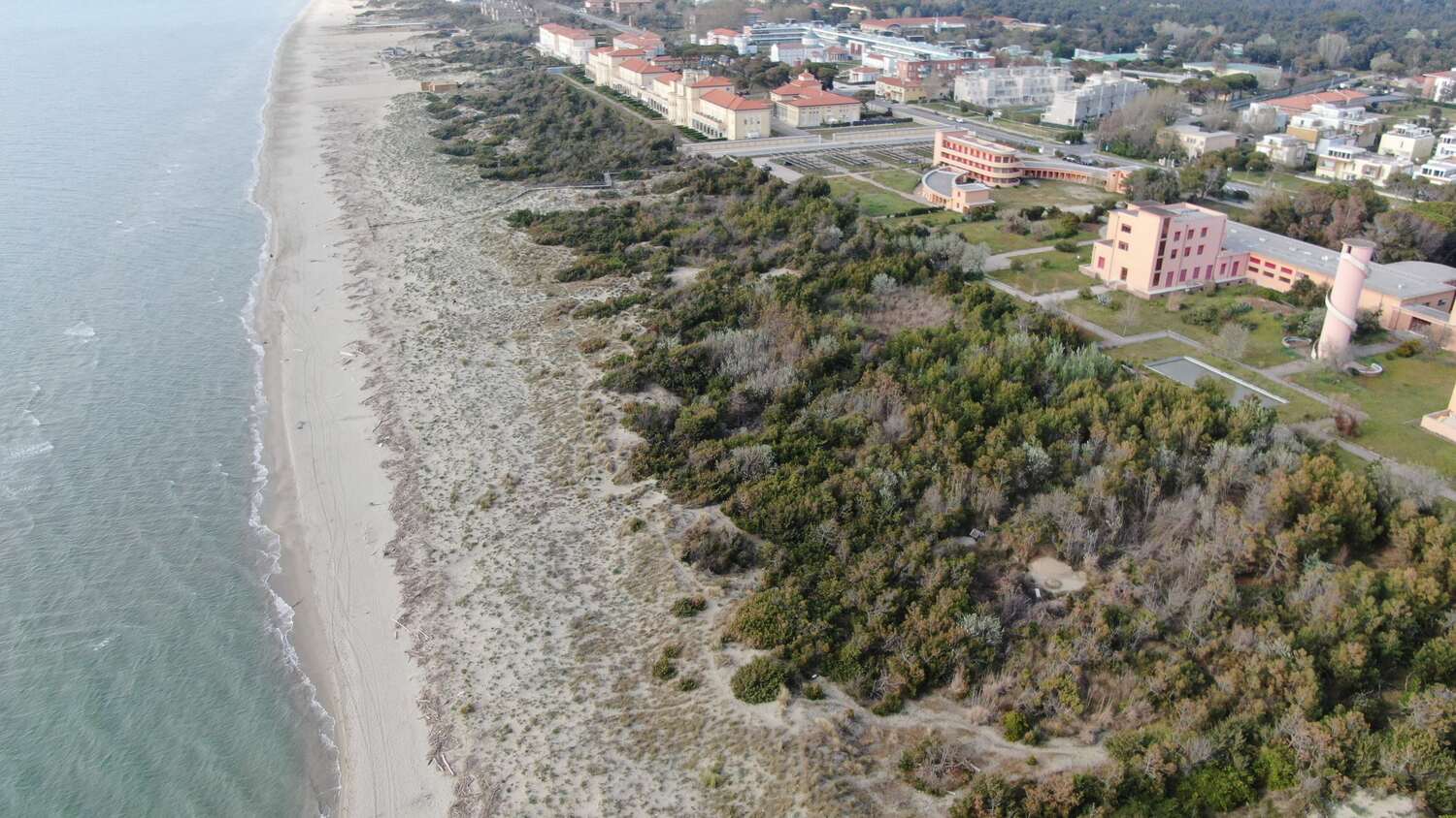 Veduta aerea spiaggia di Calambrone _ foto con drone (M. Boi, Comune di Pisa)