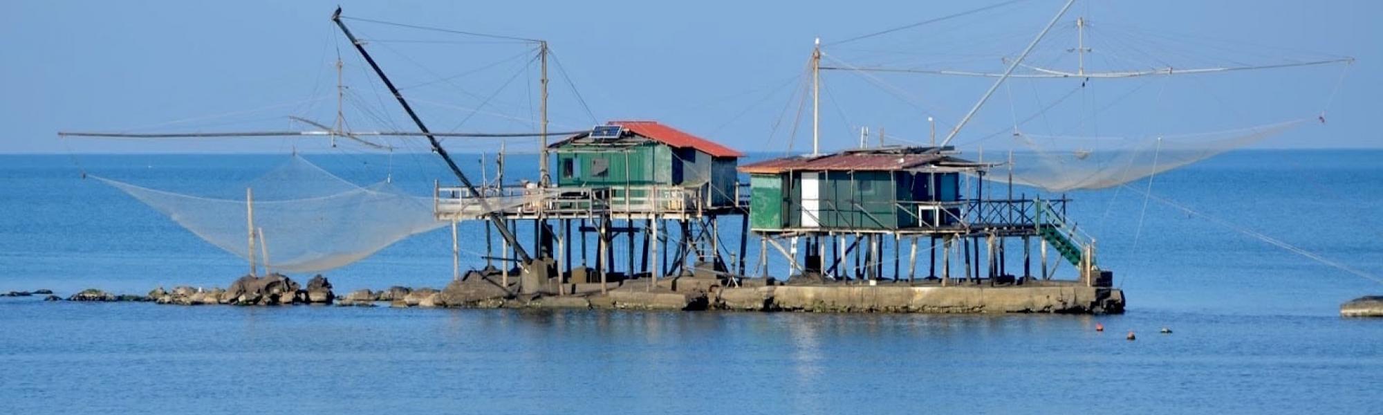 Retone a Bocca d'Arno (R. Cardini)