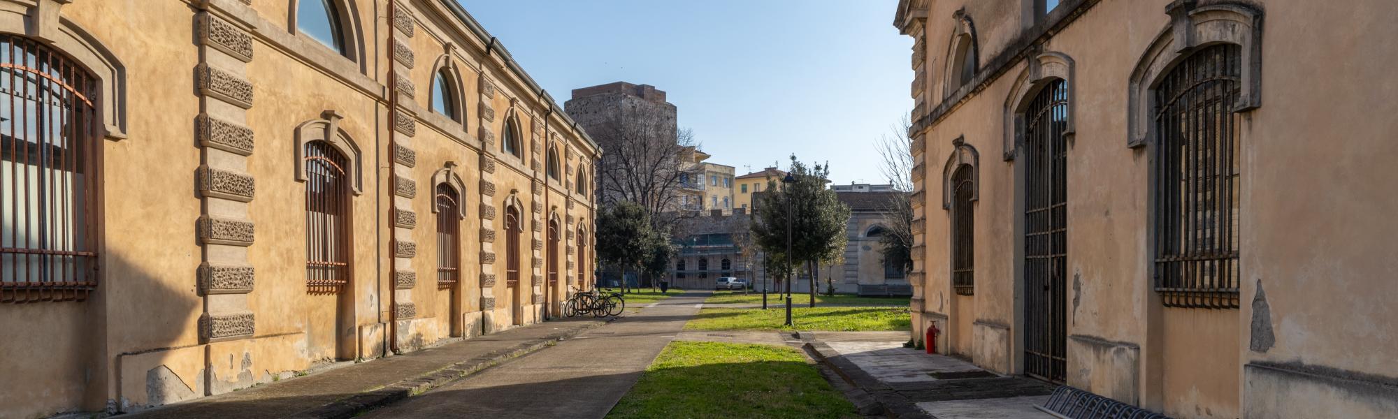 Ludoteca Scientifica