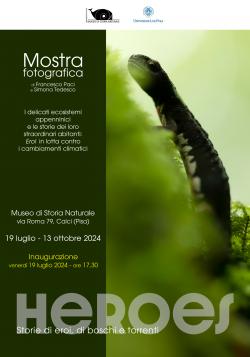 Heroes: storie di eroi, di boschi e torrenti 