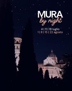 Mura di Pisa by night 2026