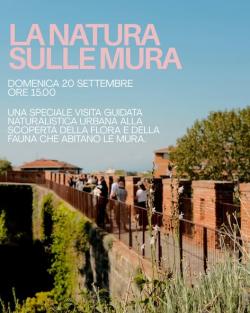 La natura sulle Mura - visita guidata naturalistica 2026