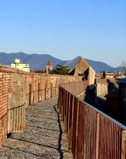 Ad aprile fioriscono le Mura di Pisa 