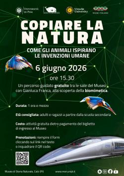 Copiare la Natura - visita guidata al Museo di Storia Naturale