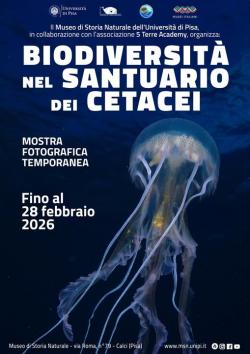 Biodiversità nel santuario dei cetacei. Mostra fotografica - PROROGATA AL 28 FEBBRAIO 2026