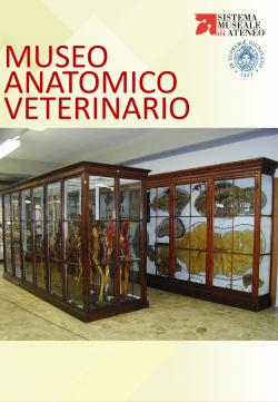 Aperture straordinarie del Museo Anatomico Veterinario