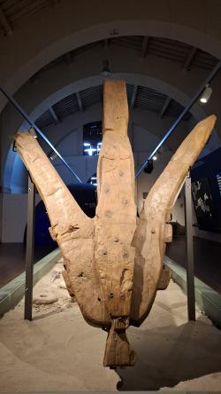 Visite guidate ai Musei Nazionali di Pisa maggio 2025