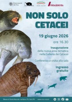 Non solo cetacei. Inaugurazione della nuova area tematica al Museo di Storia Naturale di Calci