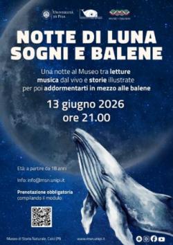 Notte di luna, sogni e balene al Museo di Storia Naturale