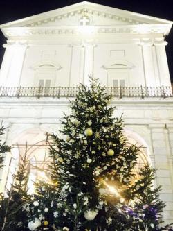 Albero Di Natale 2015 Pisa 2