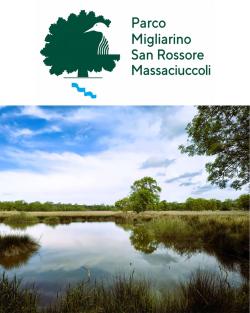Tenuta di San Rossore - Informazioni per la visita 
