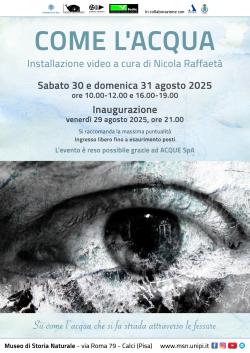 Come l'acqua. Installazione video al Museo di Storia Naturale di Calci