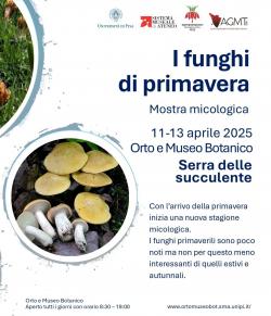 I funghi di primavera - mostra micologica 