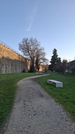 Non solo Pisa - Mosaico Pisa