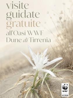 Visite guidate gratuite del WWF alle Dune di Tirrenia