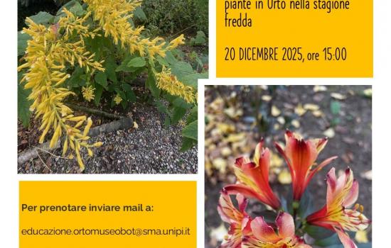 Sabato botanico dicembre 2025