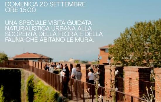 La natura sulle Mura - visita guidata naturalistica 2026