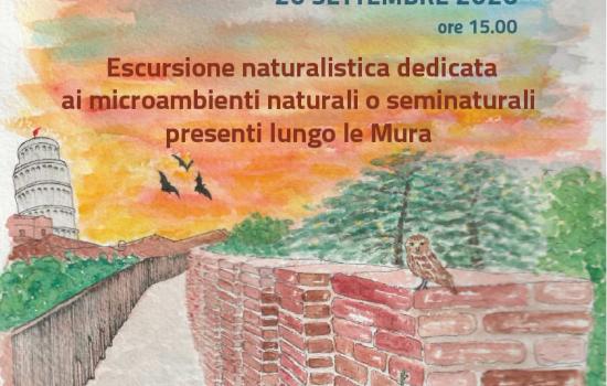 La natura sulle Mura - visita guidata naturalistica 2026