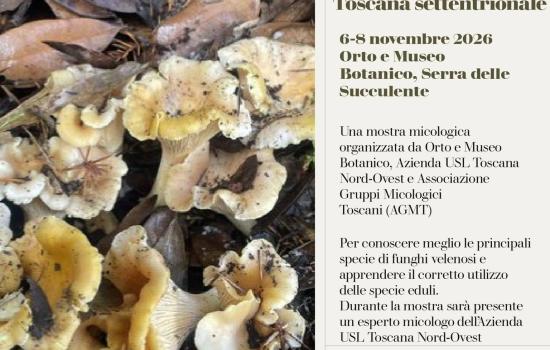 Mostra micologica - Orto Botanico
