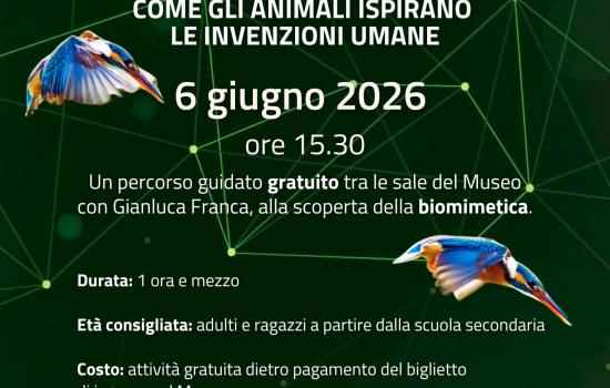 Copiare la Natura - visita guidata al Museo di Storia Naturale