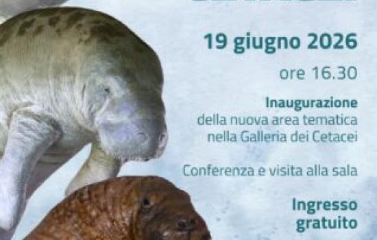 Non solo cetacei. Inaugurazione della nuova area tematica al Museo di Storia Naturale di Calci