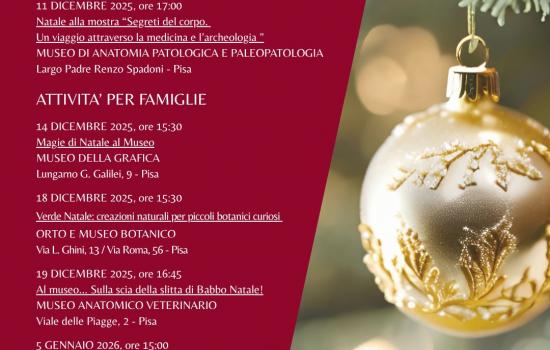Aspettando il Natale con i musei SMA