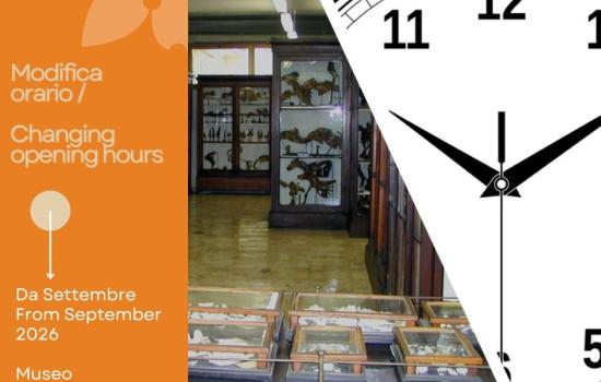 Museo Anatomico Veterinario - nuovo orario 