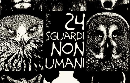 24 sguardi non umani al Museo della Grafica