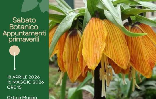 Sabato botanico - aprile e maggio 2026