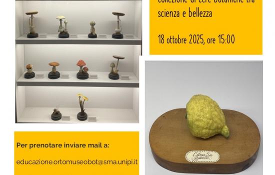 Sabato botanico ottobre 2025 