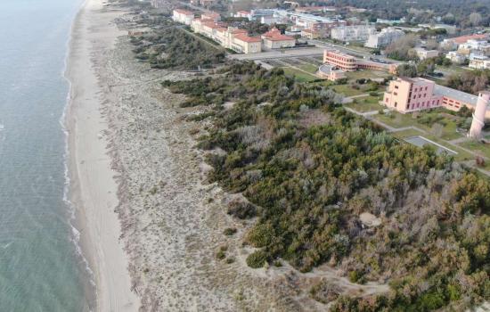 Veduta aerea spiaggia di Calambrone _ foto con drone (M. Boi, Comune di Pisa)