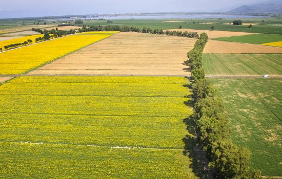 Tenuta di Migliarino e Padule di Massaciuccoli