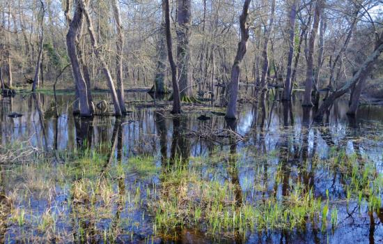 Il Parco e la poesia