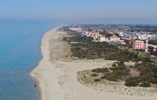 Spiaggia libera per cani