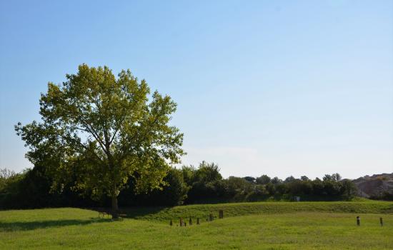 Tumulo del Principe Etrusco, via San Jacopo