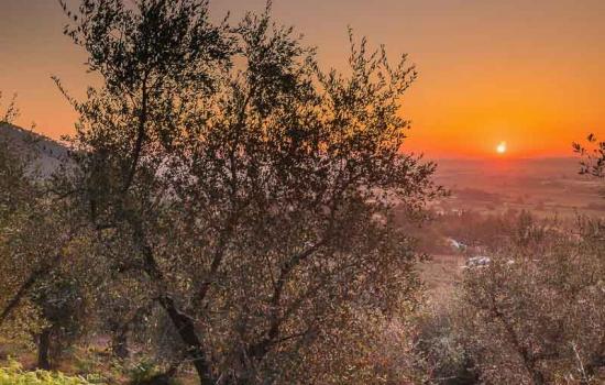 Escursioni Monte Pisano per i più piccoli