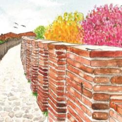 La natura delle Mura - visita guidata naturalistica