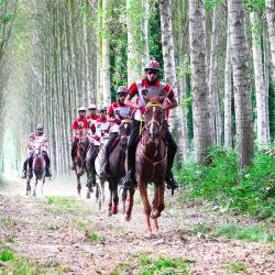  Longines FEI Endurance World Championship 2021