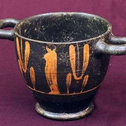 Bright Night 2025 con il Sistema Museale di Ateneo 