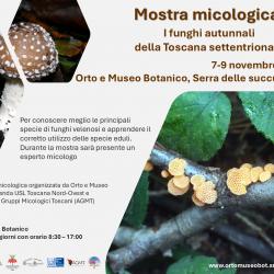 Mostra micologica. I funghi autunnali della Toscana settentrionale 