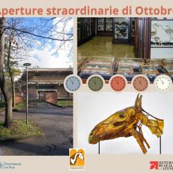 Aperture straordinarie del Museo Anatomico Veterinario - ottobre 2025