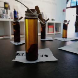 Le navi antiche di Pisa per il Food and Wine Festival 2022