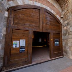 Rievocazione fine assedio di Pisa del 1499
