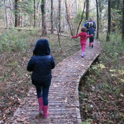 Imparare A Giocare Col Bosco 1024x590