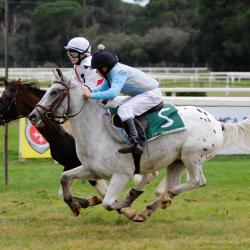 Premio Pisa all'Ippodromo di San Rossore