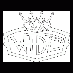Logo Exwide