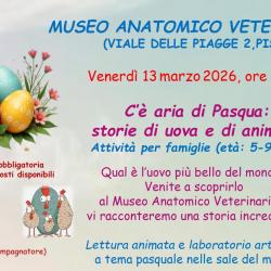 Aria di Pasqua: storie di uova e di animali!