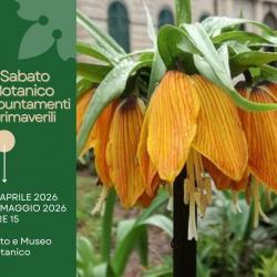 Sabato botanico - aprile e maggio 2026