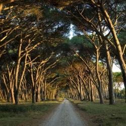 Spiagge del Parco, estate di visite guidate gratuite